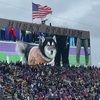 huskyfan99